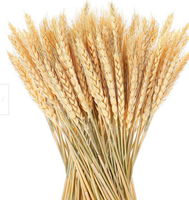 Sheave of Wheat